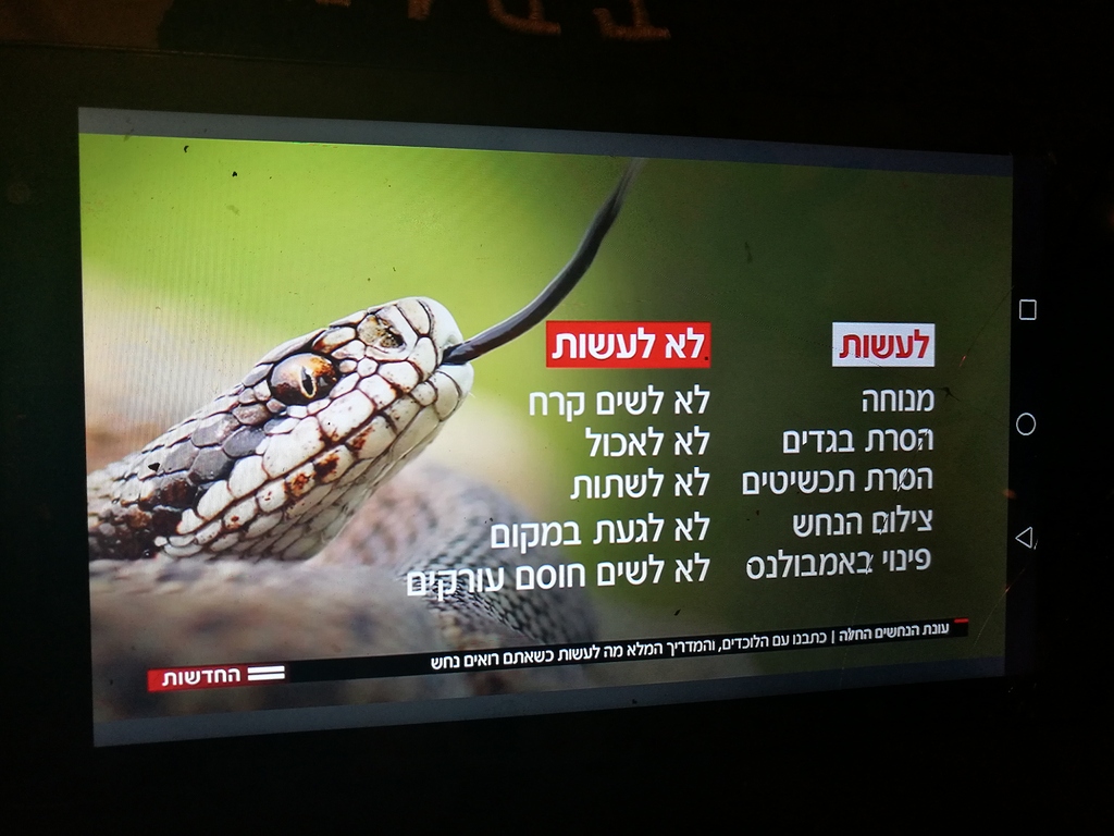 Snake code. Snake code