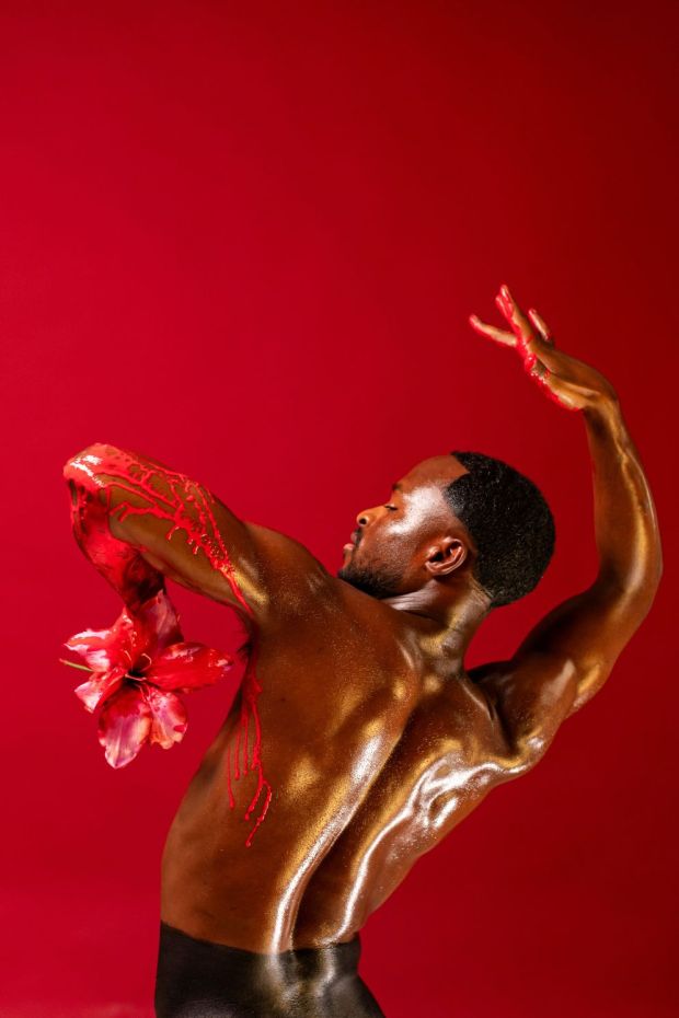 Bolero X. Photo © Ascaf