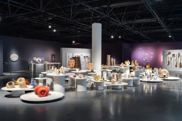 Общий вид биеннале. Фото: Daniel Hanoch Photographer